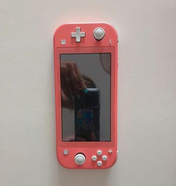 Nintendo switch lite