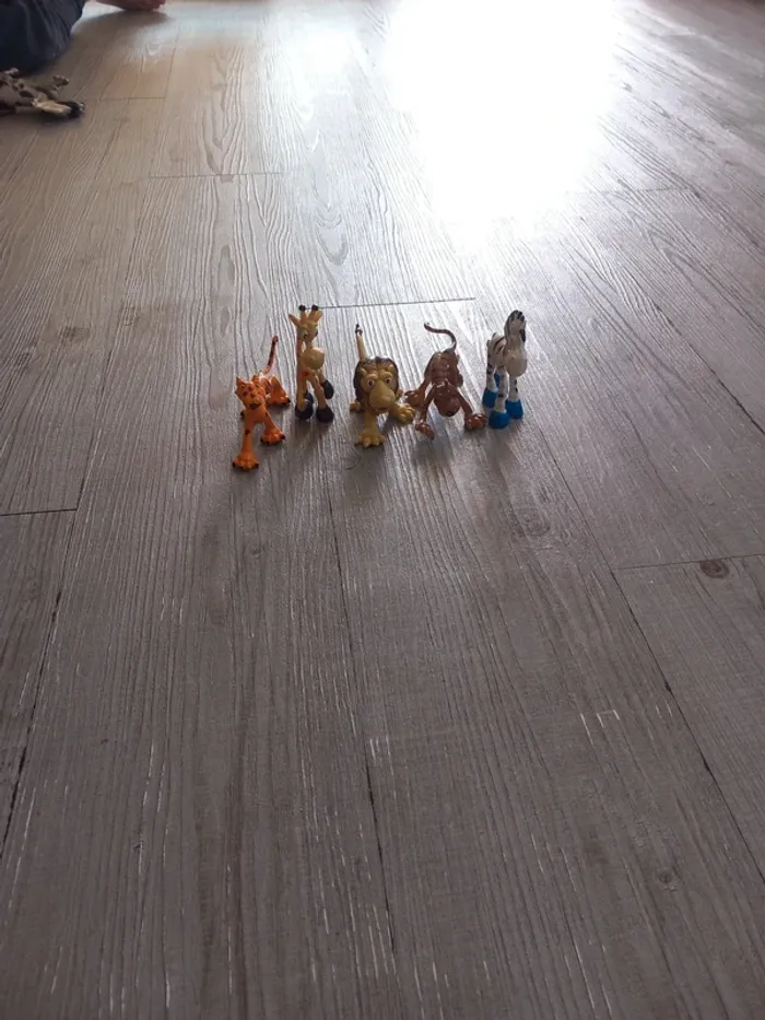 Animaux rigolos - photo numéro 2