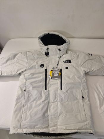 The north face original