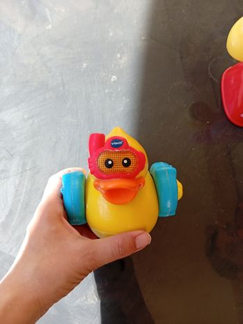 Canard tut tut bolide 