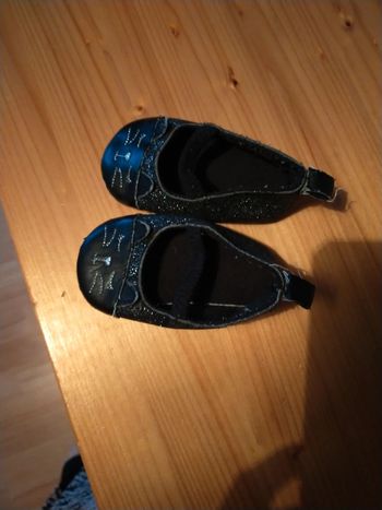 Petite ballerine chat