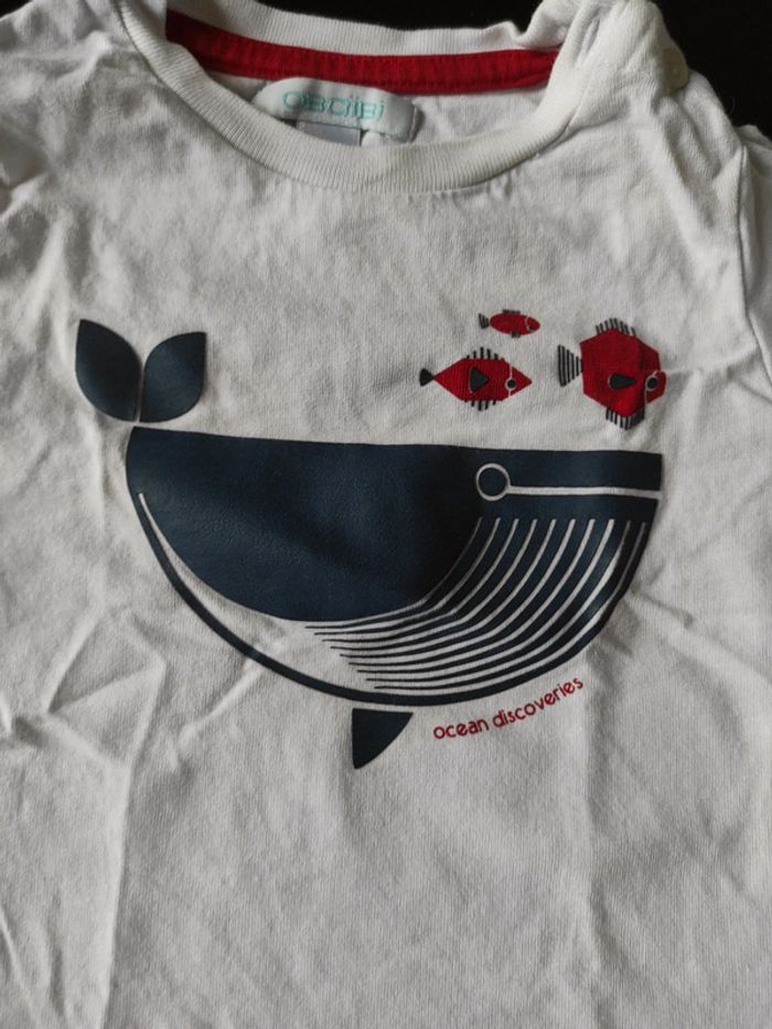 Tee short baleine - photo numéro 2