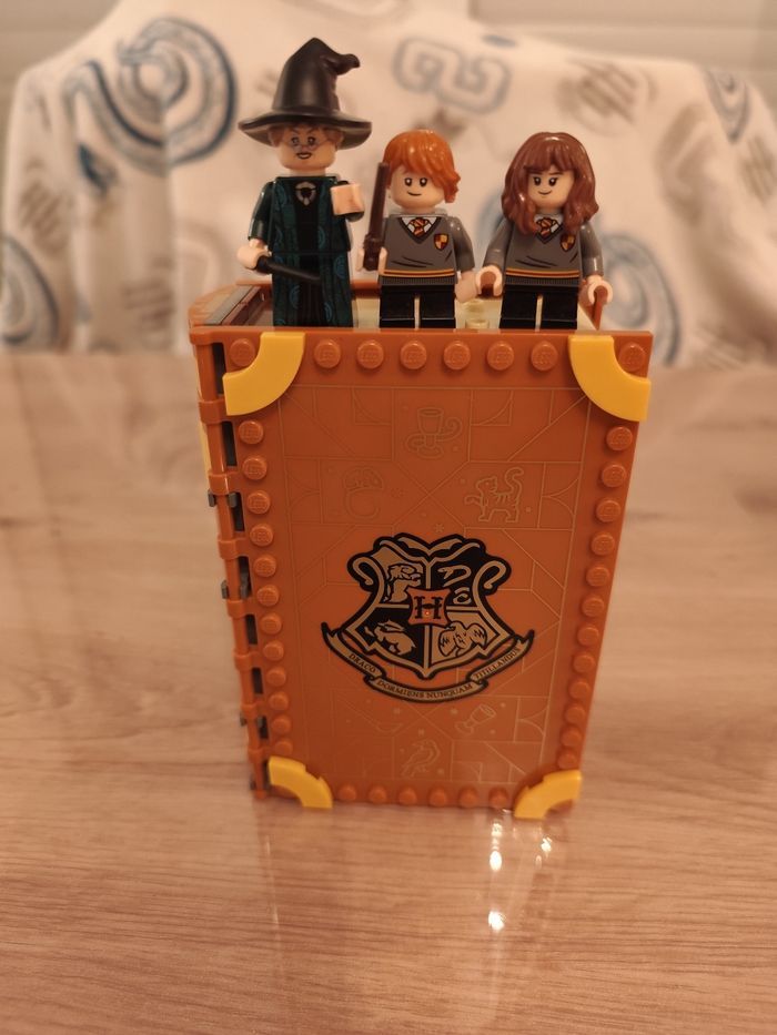 Lego Harry Potter classe de métamorphose 76382 - photo numéro 5