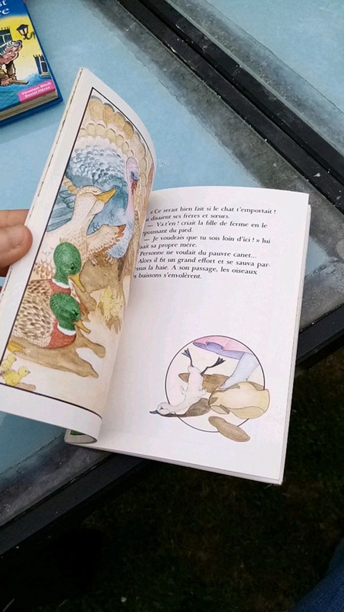 Le vilain petit canard - photo numéro 4