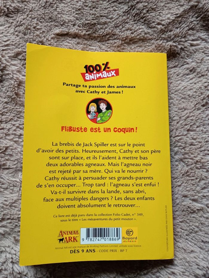 Livre flibuste est un coquin - photo numéro 3