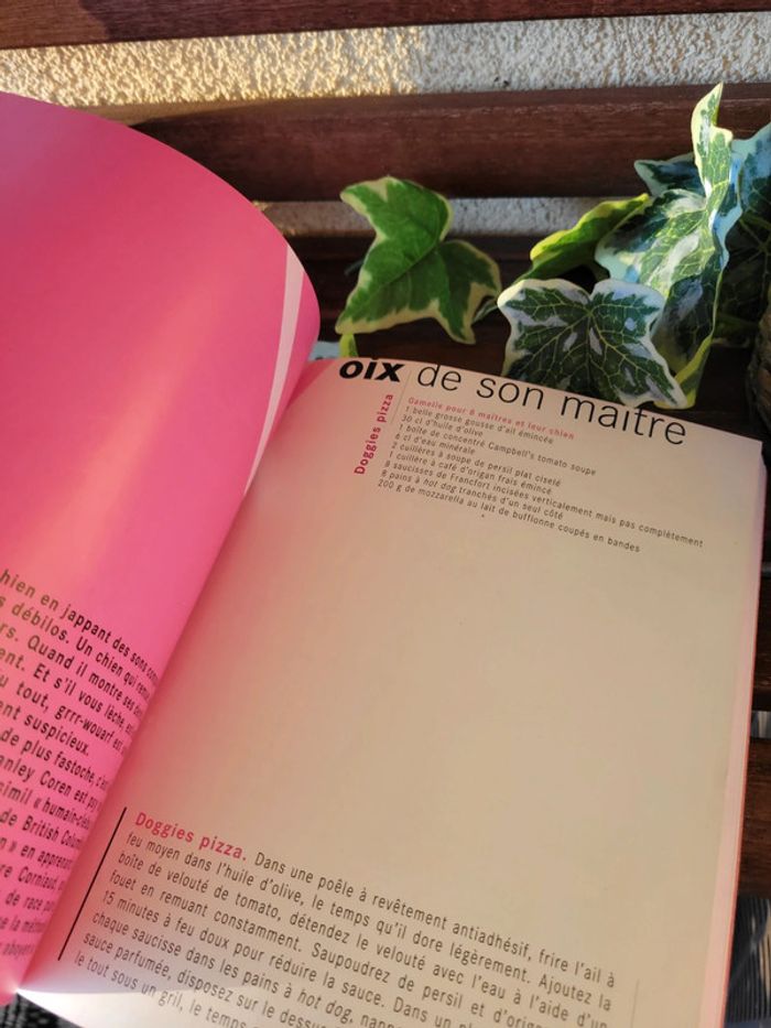 Livre de recette "Mon chien fait recette" - photo numéro 8