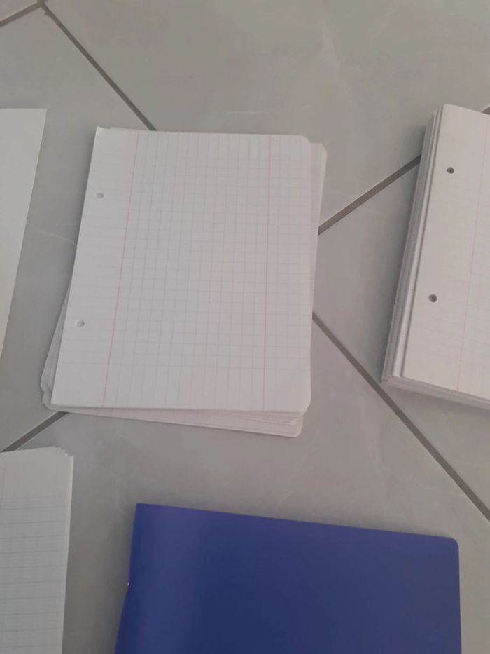 Lotbpetits classeurs et feuilles - photo numéro 3