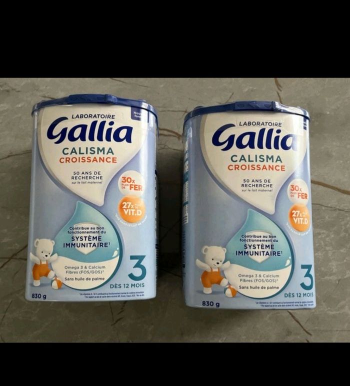 Gallia 3