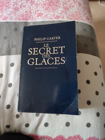 Le secret des glaces
