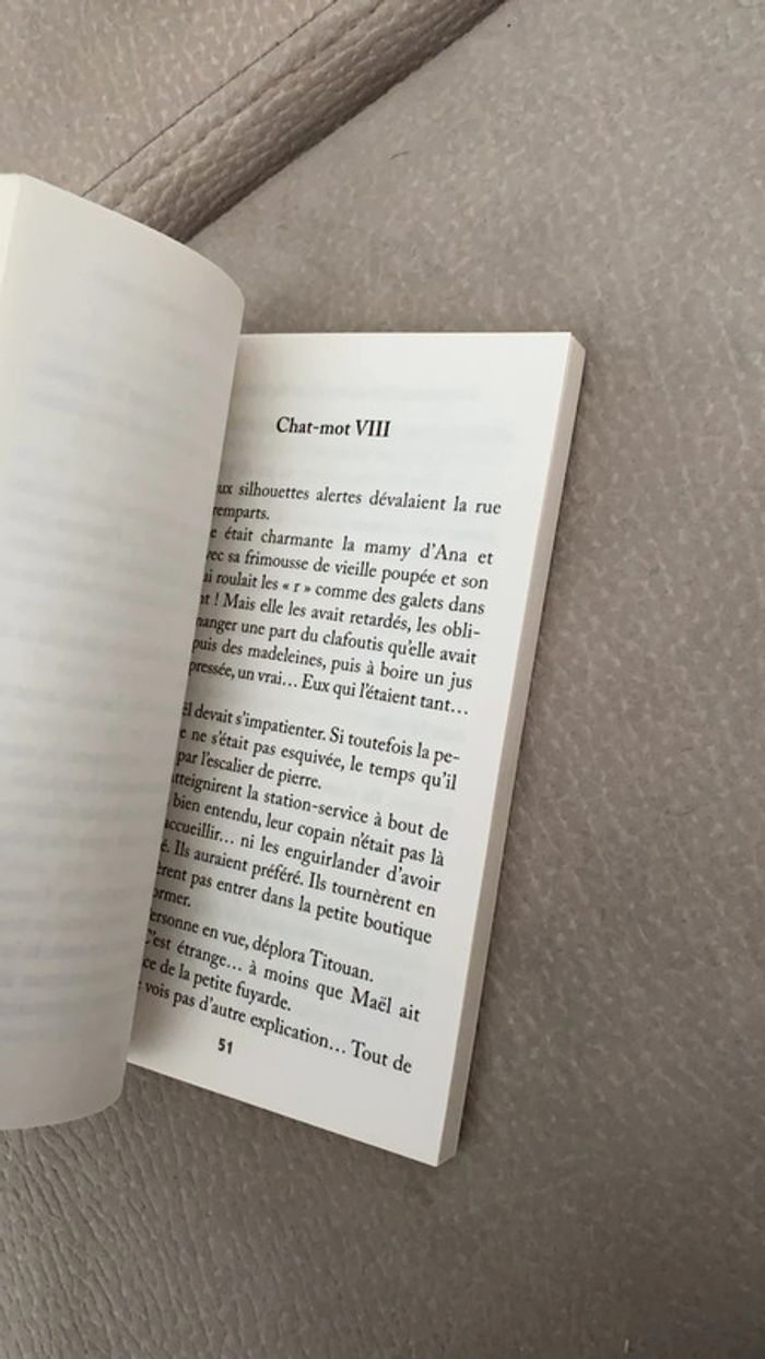 Livre - photo numéro 3