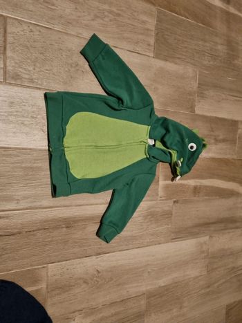 Veste zippée dinausore