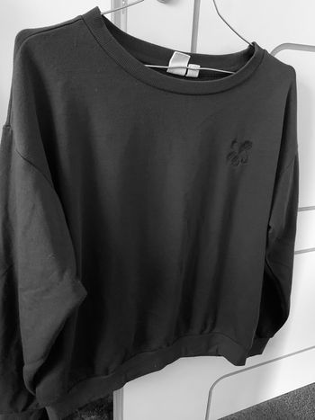 Sweat Roxy