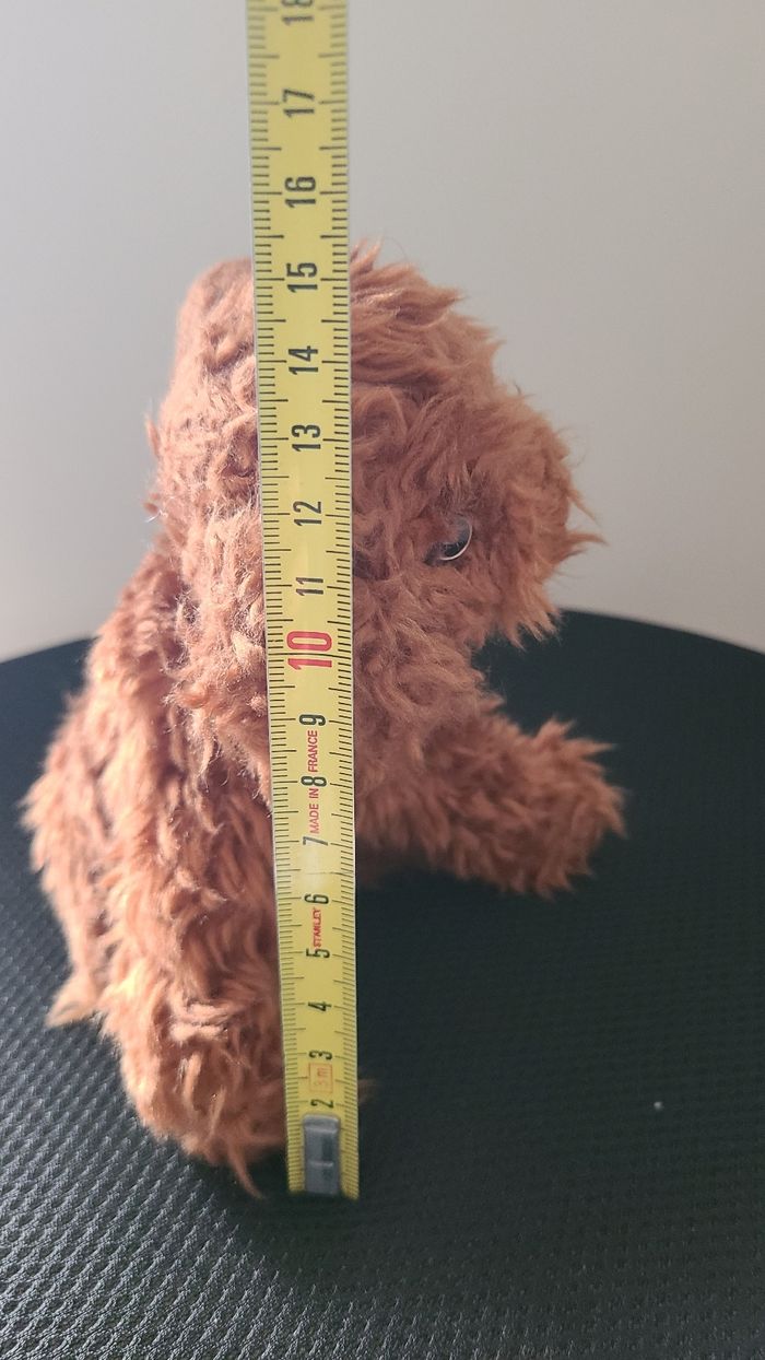 Nintendogs - photo numéro 6