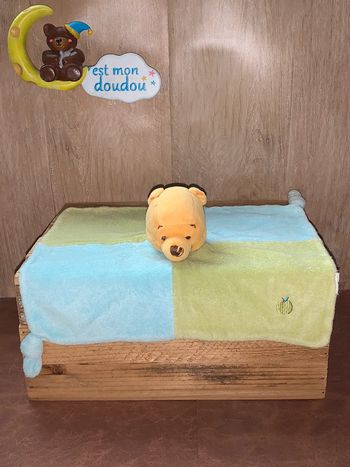 DY360 doudou ours 🐻 winnie disney