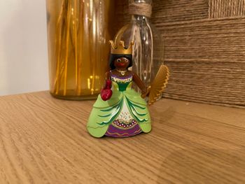 Princesse verte Playmobil
