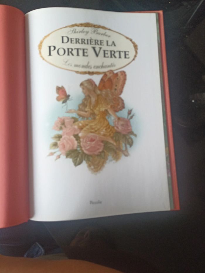 Derrière la porte verte - photo numéro 3