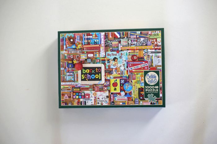 Puzzle 1000 pièces "Back to school" Cobble Hill par Shelley Davies