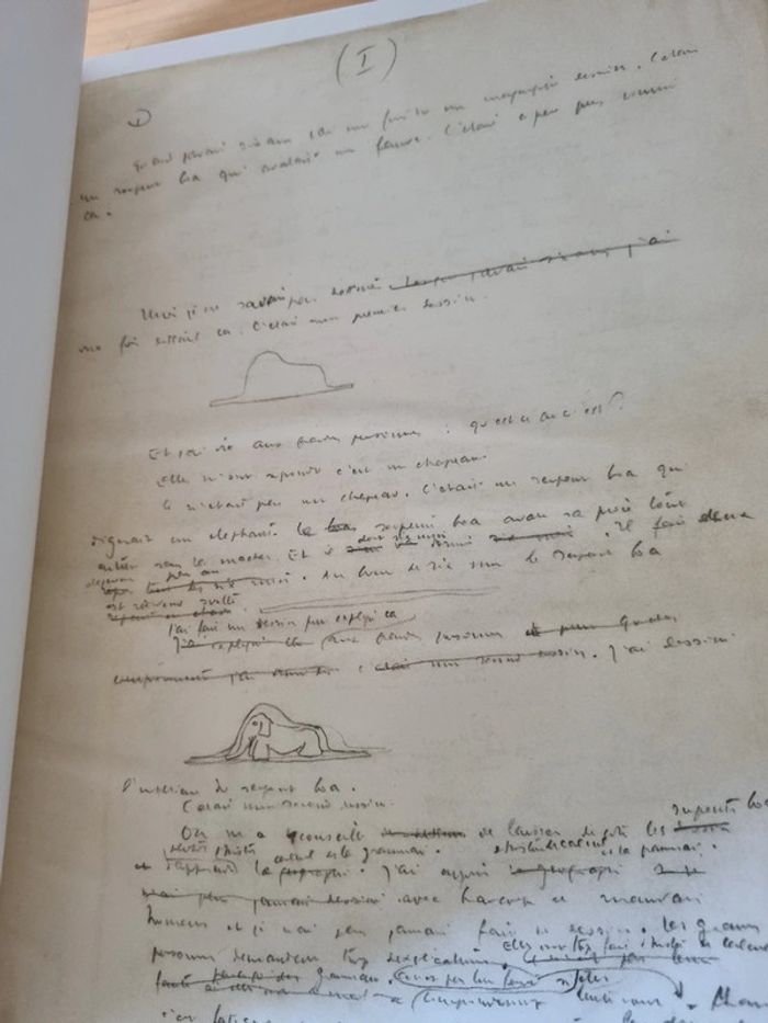 Le manuscrit du Petit Prince - Fac-similé et transcription - photo numéro 8