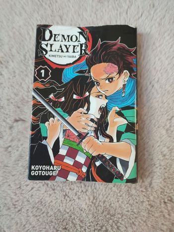 Manga demon slayer