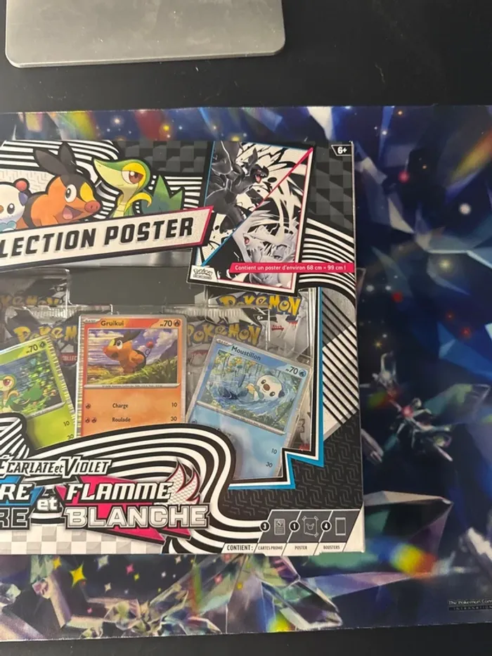 Coffret collection poster - Foudre noire et Flamme blanche - photo numéro 5