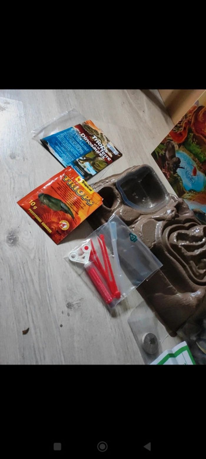 Triops et dinausaures - photo numéro 3