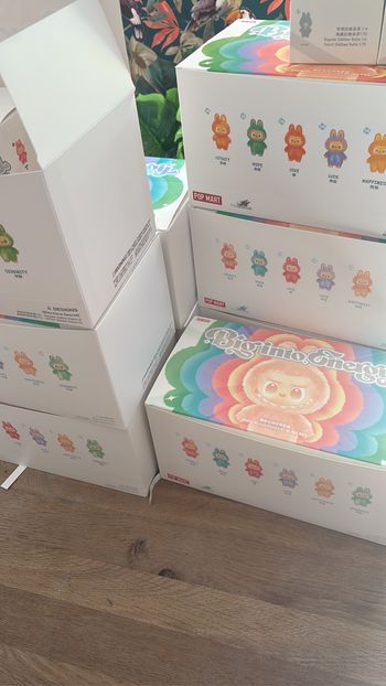 Box de 6 labubu