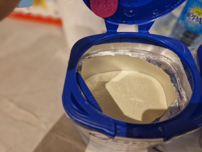 Gallia caslisma 1 - photo numéro 2