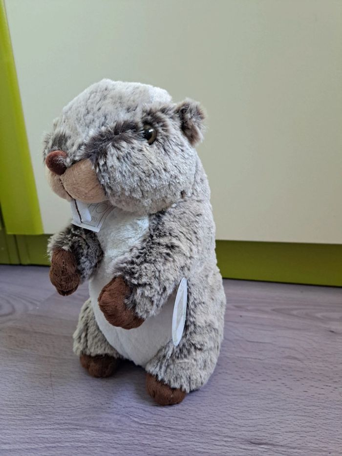 Peluche marmotte histoire d'ours