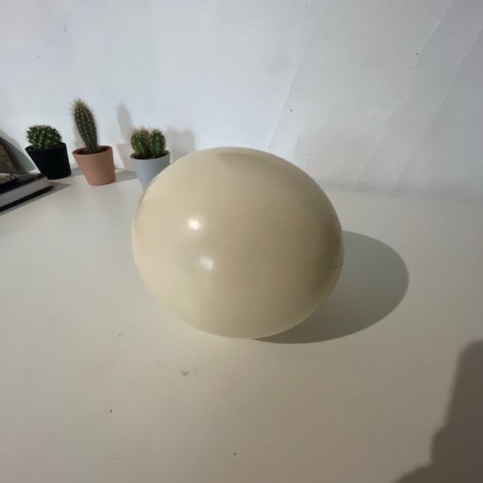 Œuf d’autruche