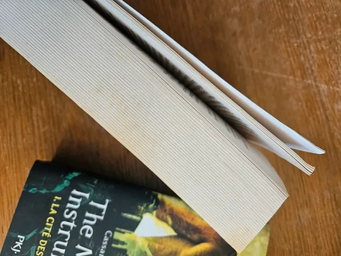 Livre - photo numéro 2