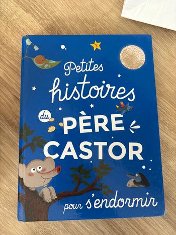 Livre Petites histoire du père Castor pour s’endormir
