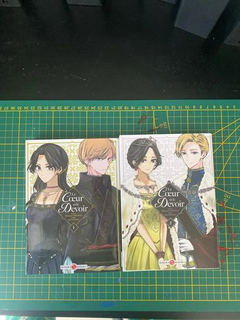 Lots de deux manga le cœur et le devoir tome 1 et 2