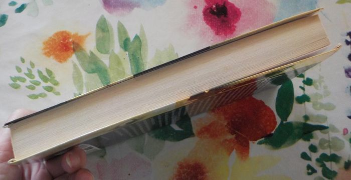L'envol des anges de Michael Connelly Ed. Le Grand Livre du Mois - photo numéro 5