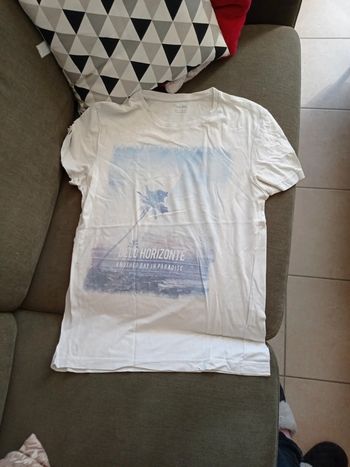 Tee shirt jules palmier