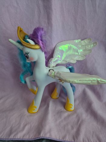 Petit poney