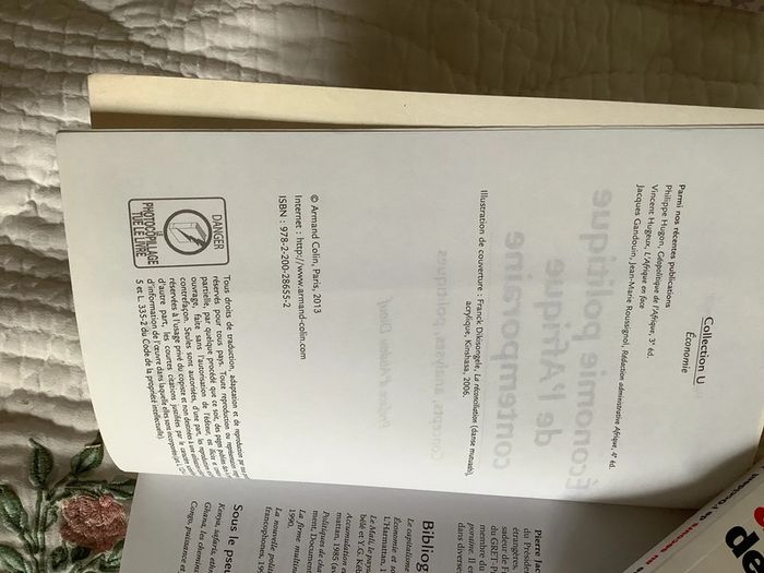 Économie politique de l’Afrique contemporaine - photo numéro 4