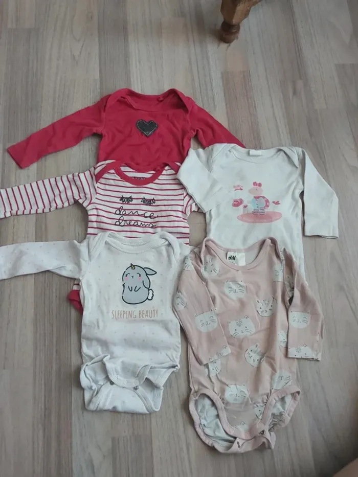 Lot 5 bodies 6mois