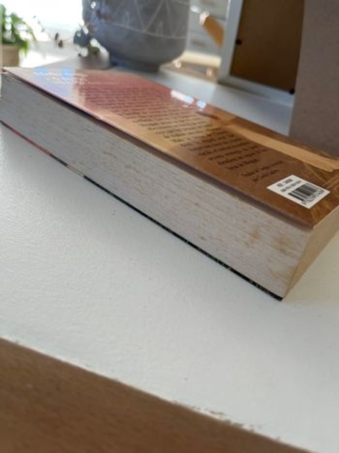 Livre - photo numéro 3