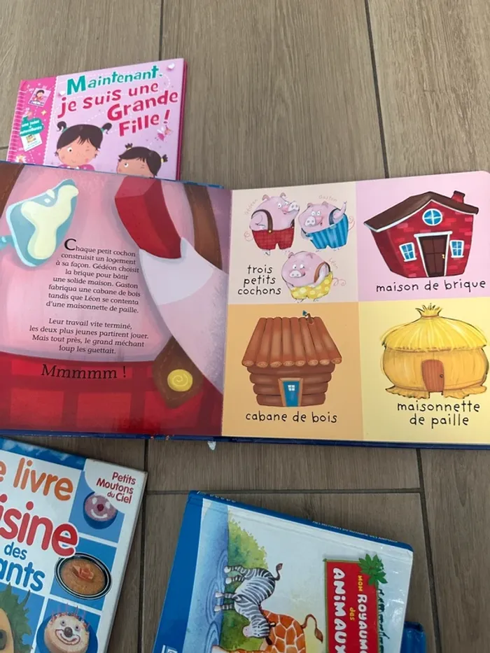 Lot de livre enfants petits x5 - photo numéro 9