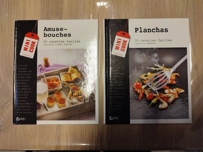 Lot de 2 livres de recettes