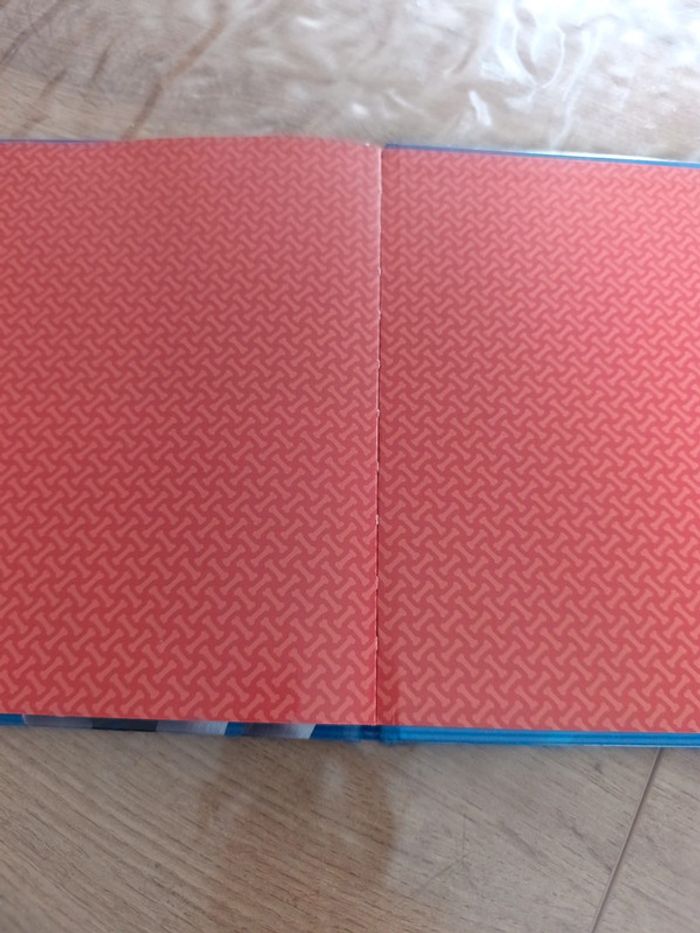 Livre paw patrol - photo numéro 4