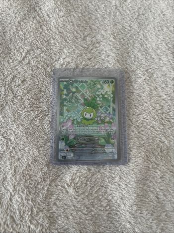 Chlorobule Ev10,5 Foudre noir AR 091/086