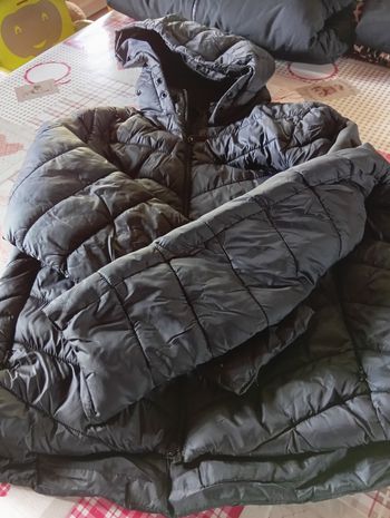 Manteau