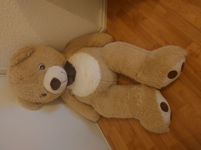 Peluche géante