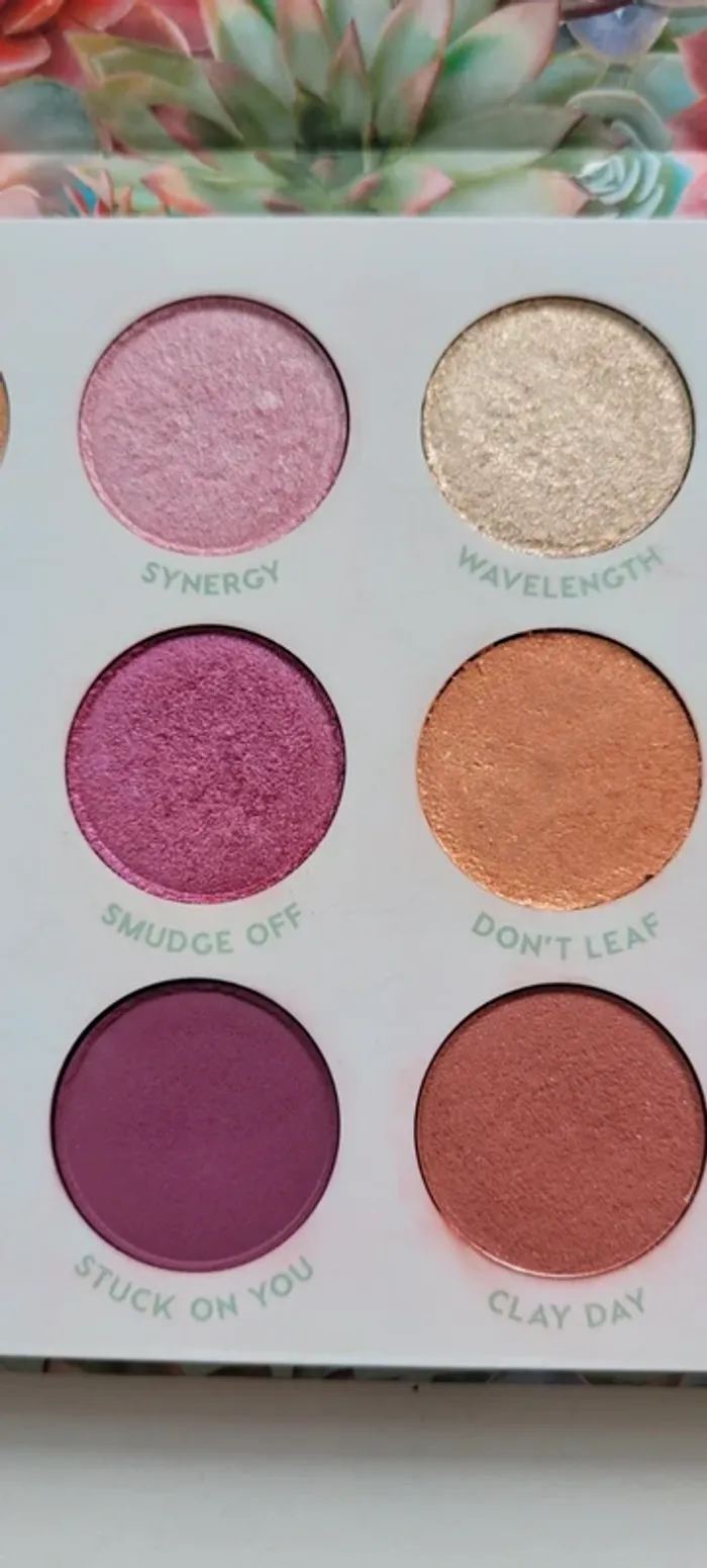 Palette garden variety - photo numéro 5