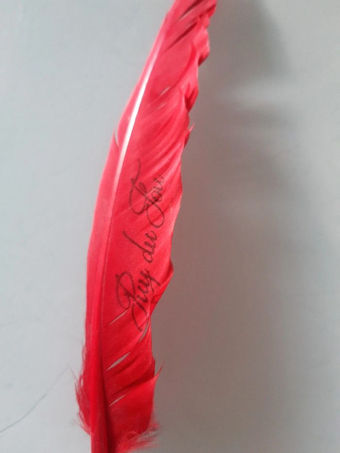 Plume Colorée Bic Puy du fou - photo numéro 2