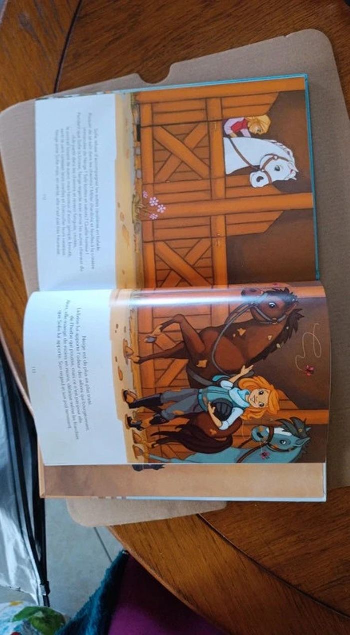 15 histoires de chevaux - photo numéro 6