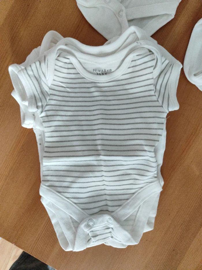 Lot 6 bodies - photo numéro 6