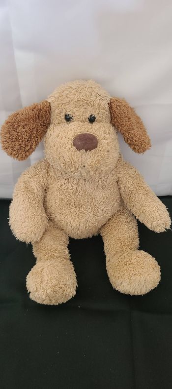 Chien HISTOIRE D'OURS doudou beige et marron
