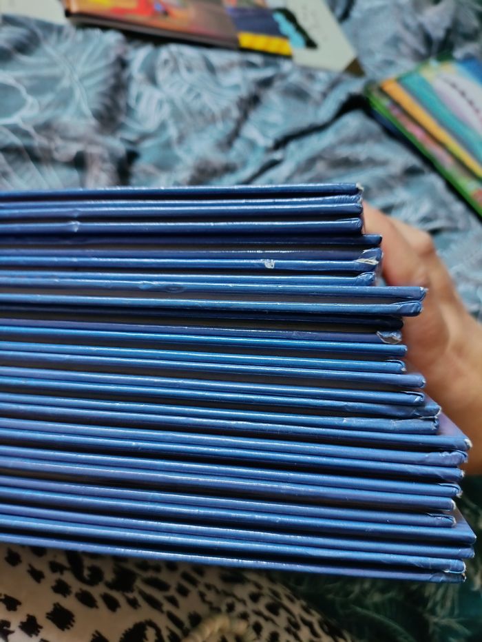 Livres Pat patrouille - photo numéro 2
